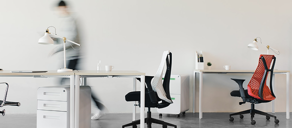 Agile Development Projects and Usability